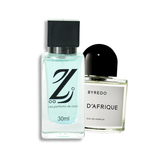 Bal d'Afrique