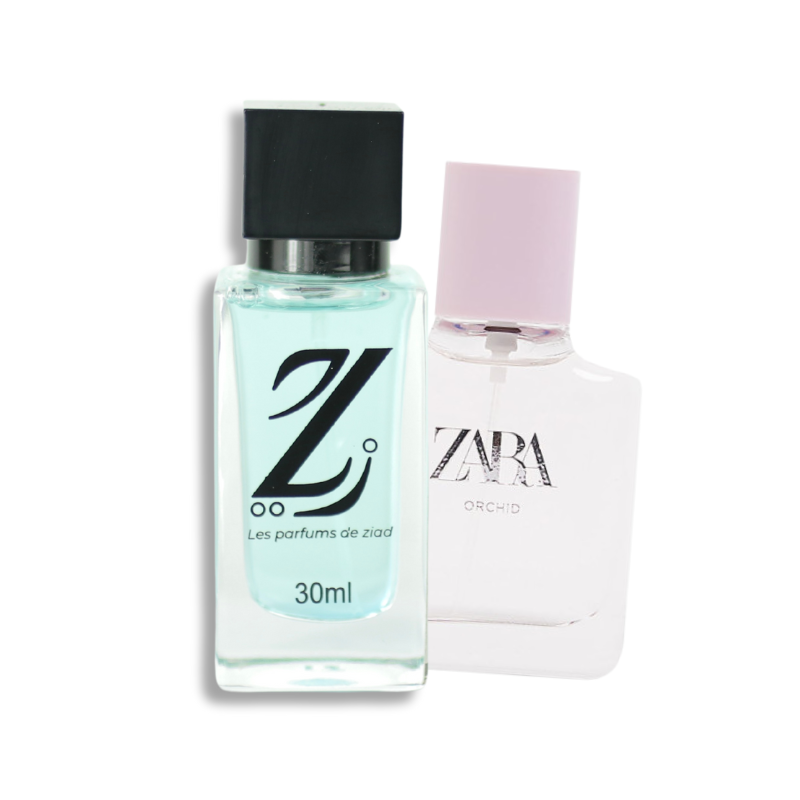 Zara Orchid